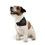 Happiness Matters Pet Bandana Collar